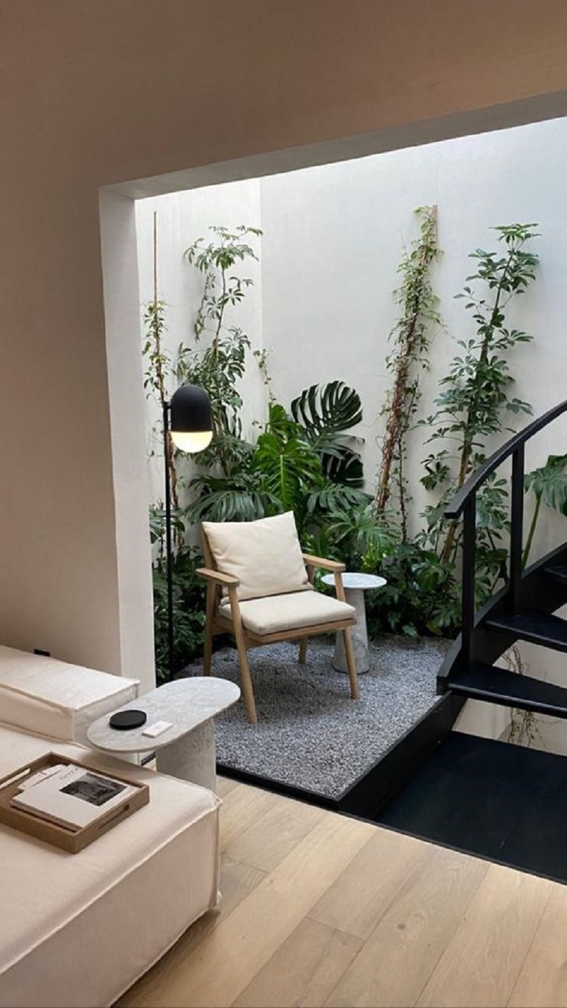Embracing Indoor Greenery The Beauty of Houseplants