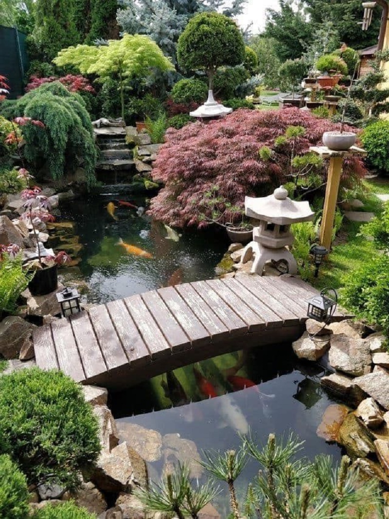 Dive into Tranquility: Why an Aquarium in Your Garden Is a Unique Choice