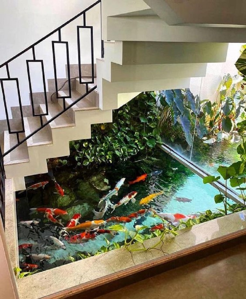 Dive into Tranquility: Why an Aquarium in Your Garden Is a Unique Choice