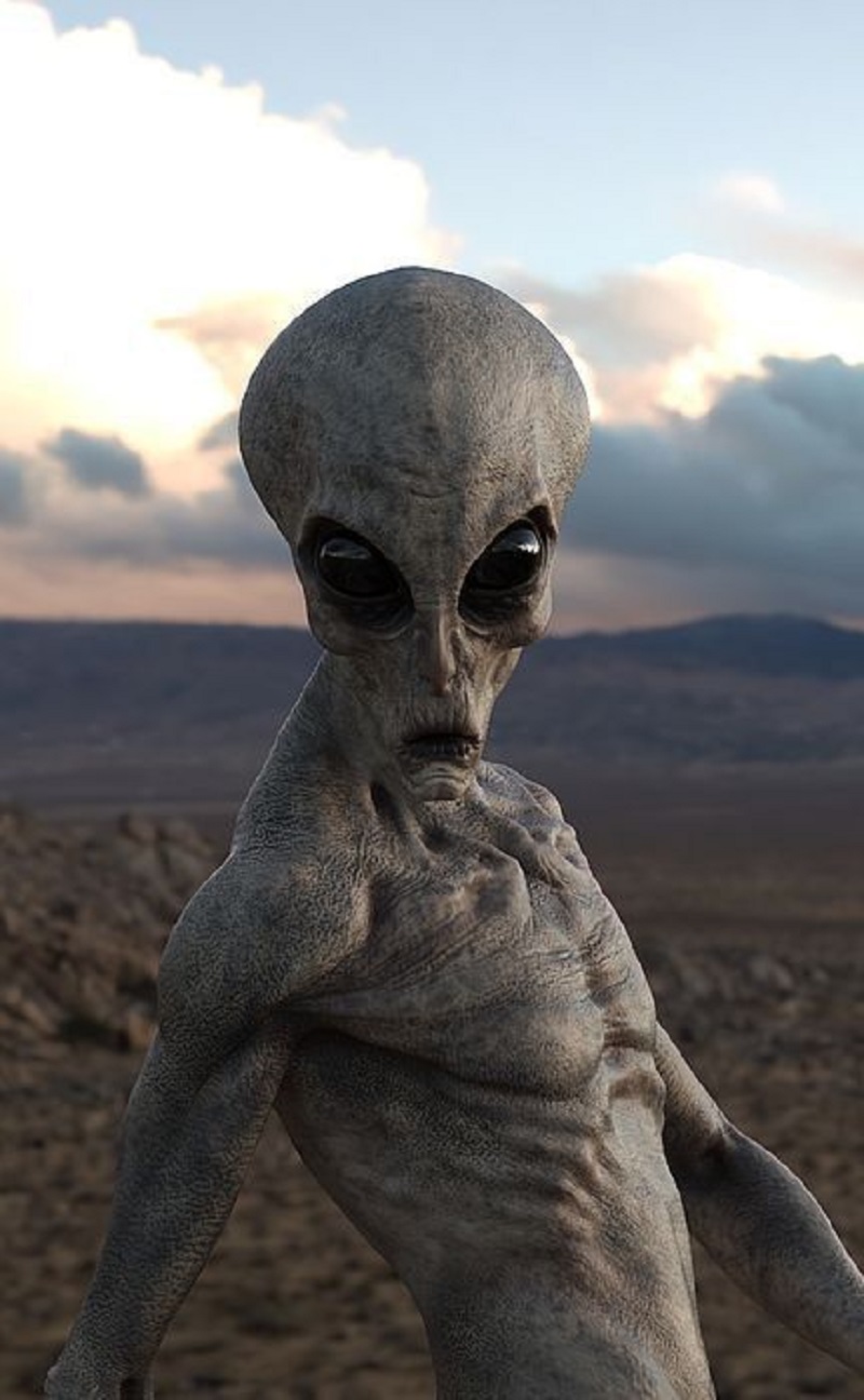 Alien Perspectives: How Extraterrestrials Might Perceive the Universe